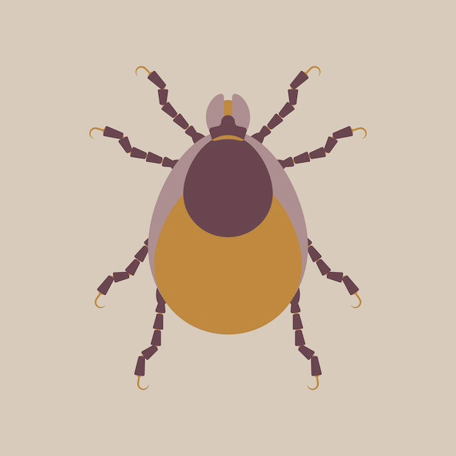 ダニを死滅させるという実験結果が得られているヒバ精油