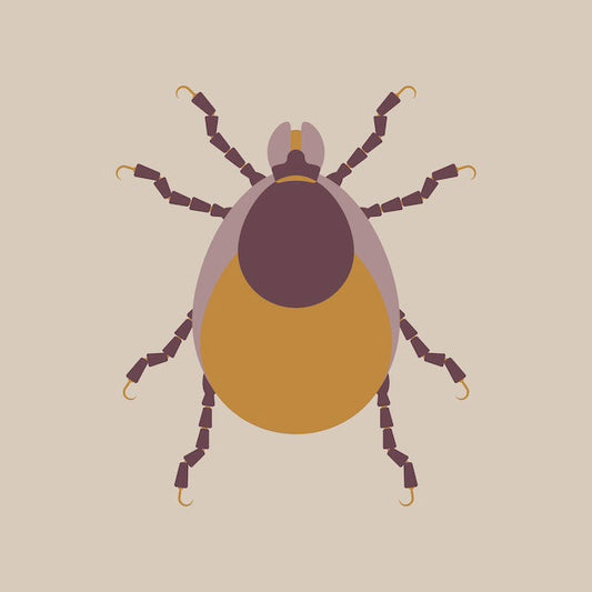 ダニを死滅させるという実験結果が得られているヒバ精油