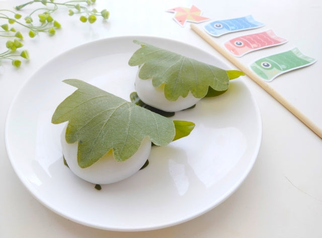 こどもの日に柏餅を食べる理由と、柏の葉の意外なヒミツ